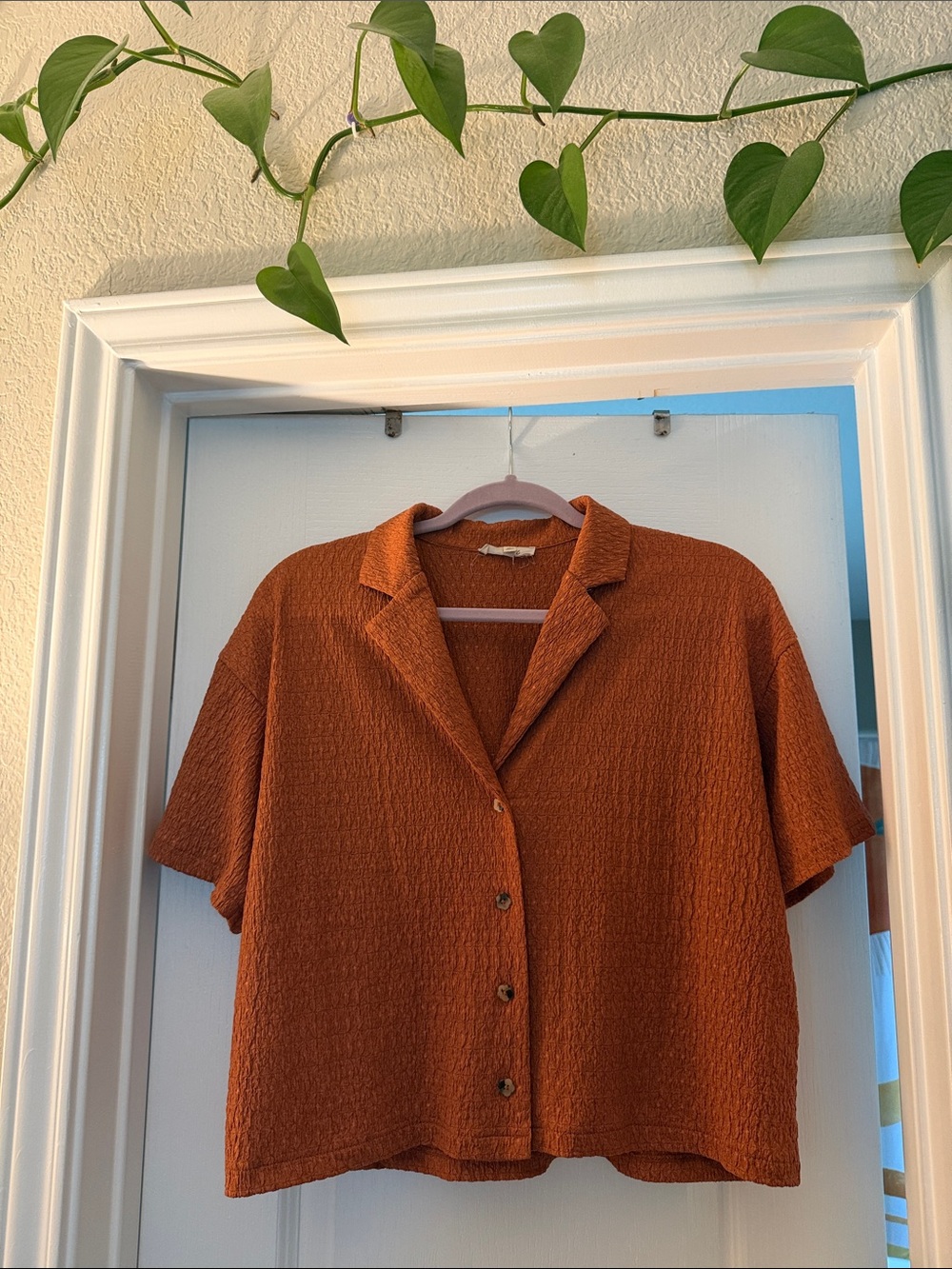 Madewell Rust Textured Short-Sleeve Button-Up